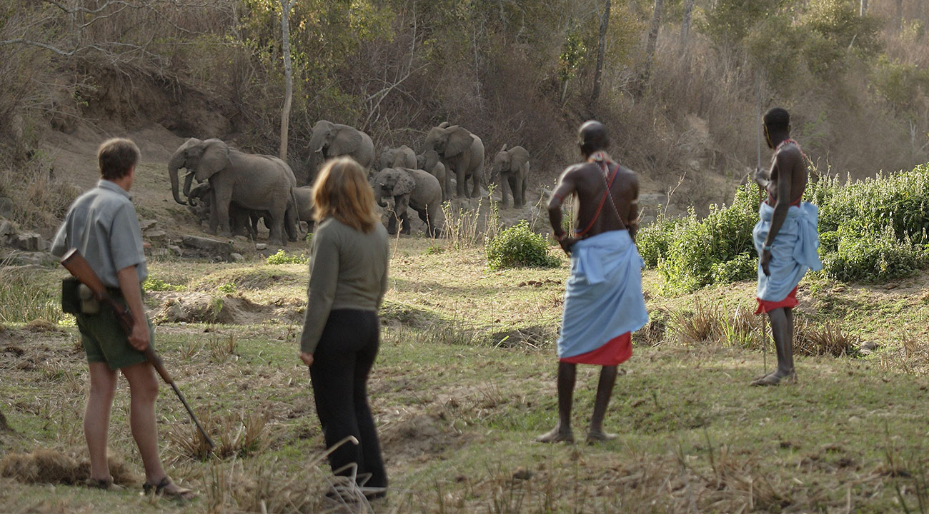 The beauty of a Kenya walking safari