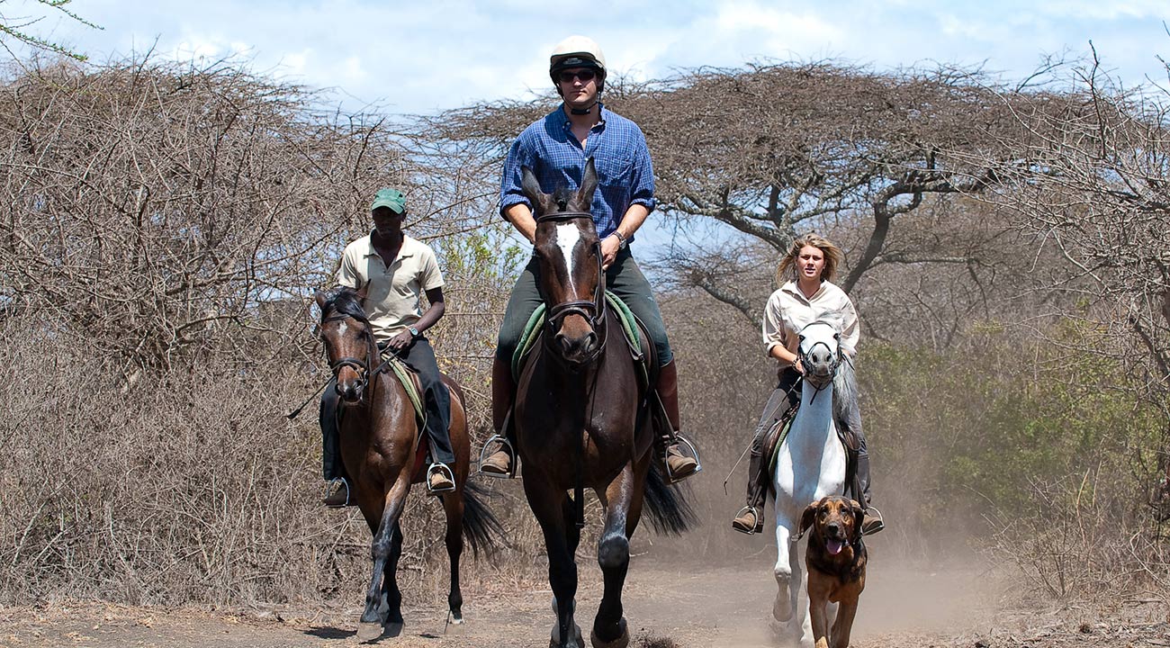 Why You Should Go On A Horseback Safari
