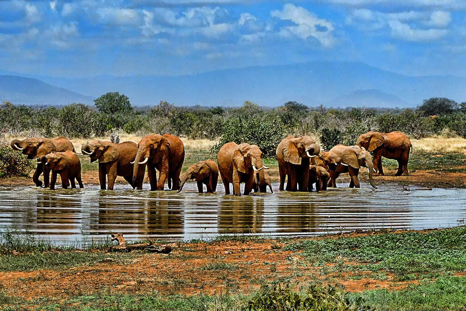 Camps Lodges In The Mara With A Waterhole Best For Night Game Viewing 