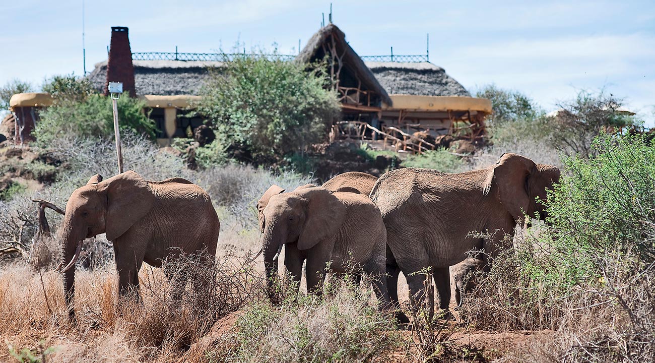 What you need to know before booking your stay at Sweetwaters Serena Camp