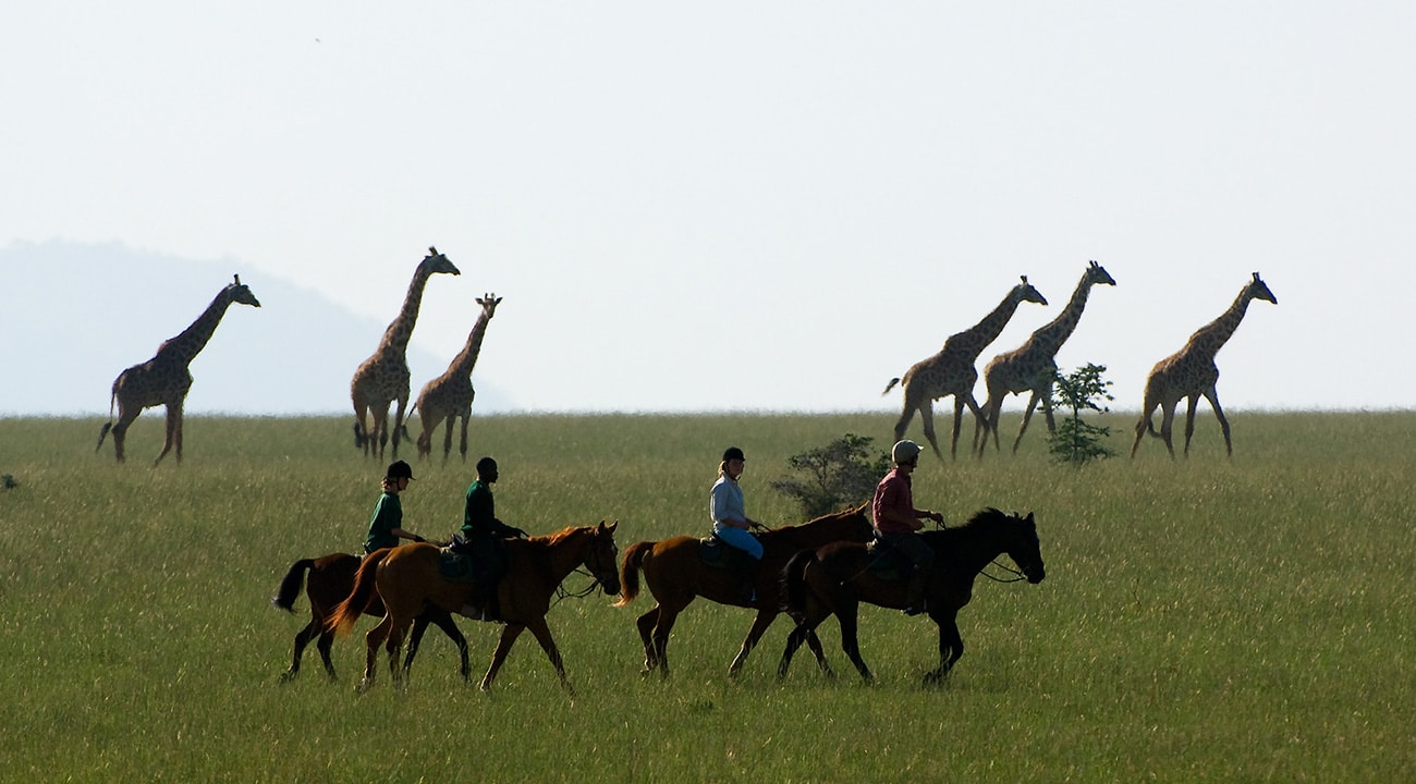 Family Safari To Kenya