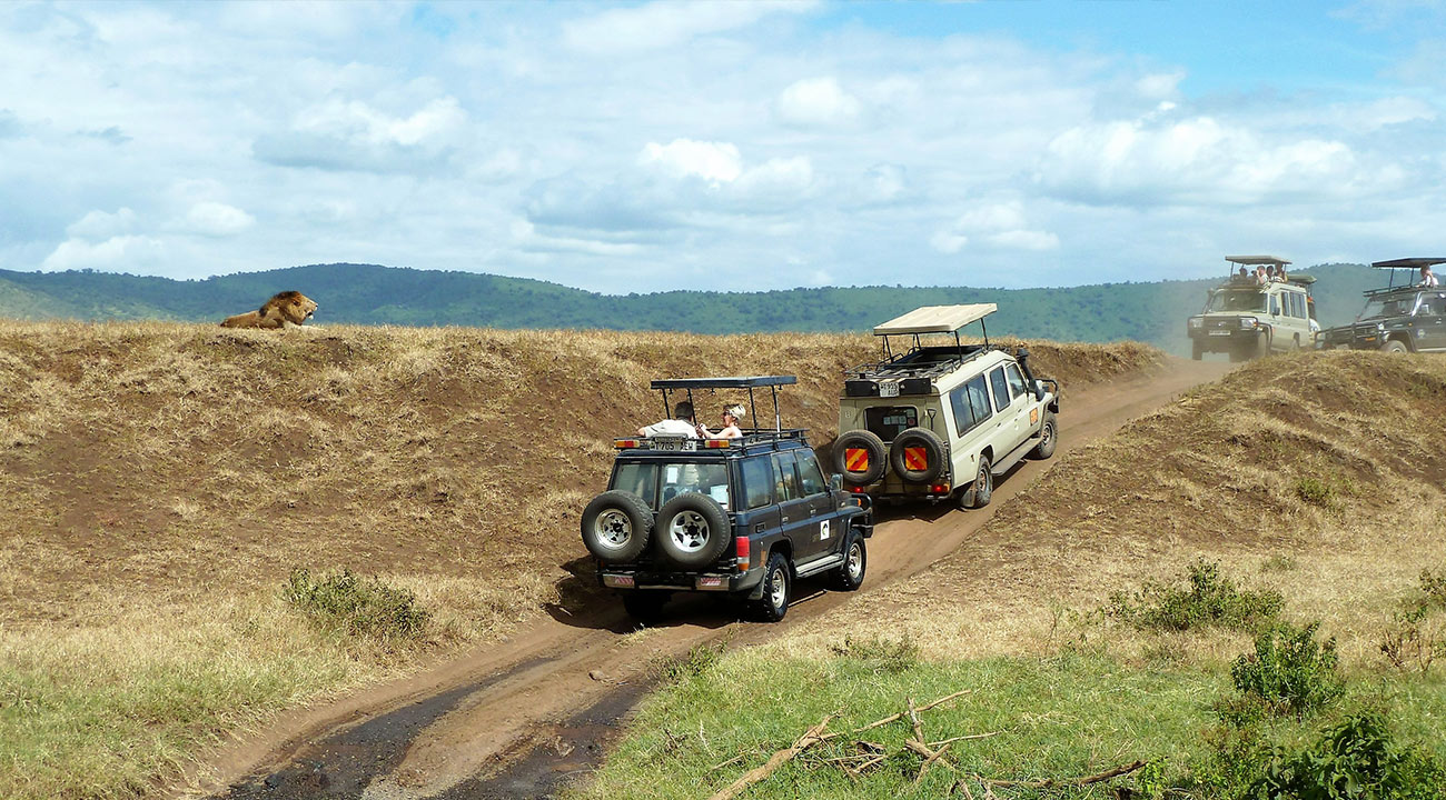Car Hire / Self-drive Safari In Tanzania