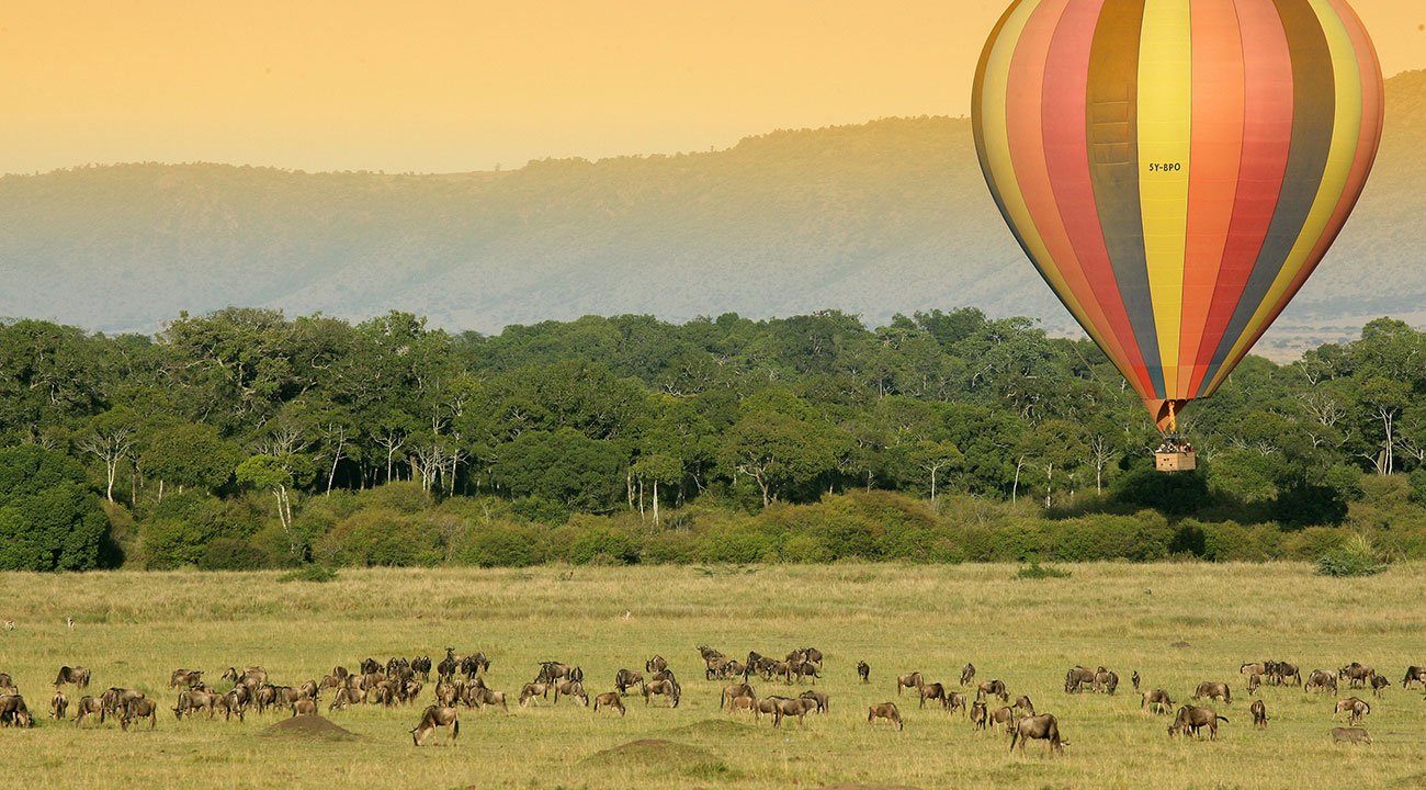 Early Morning Hot Air Balloon Safari