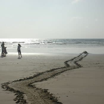 African Sandy Beaches