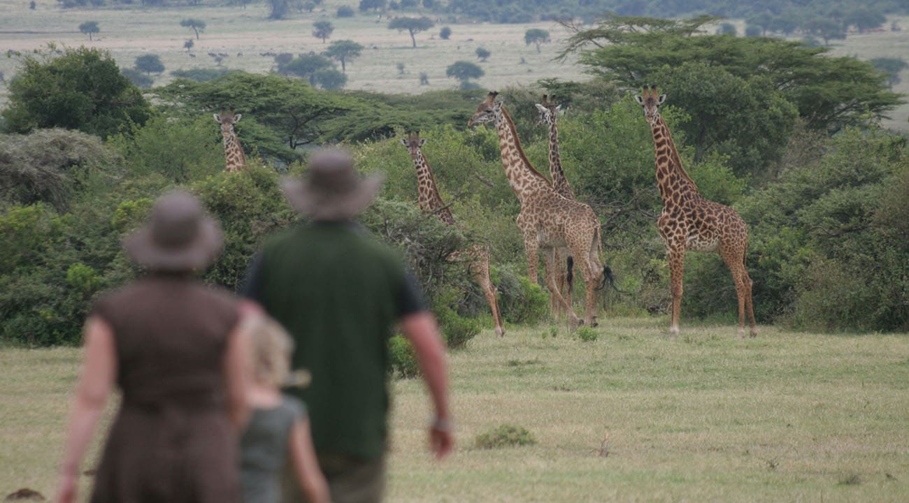 African Family Safaris