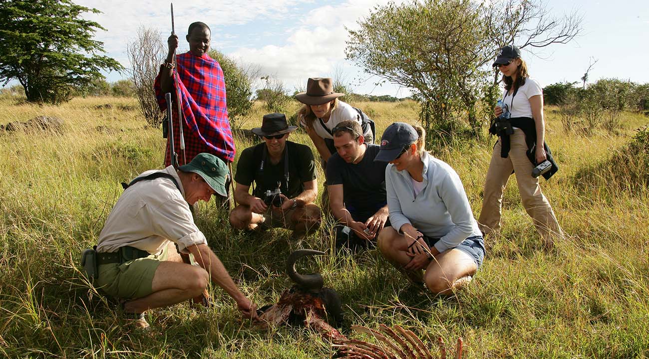 African Group Safari Experiences