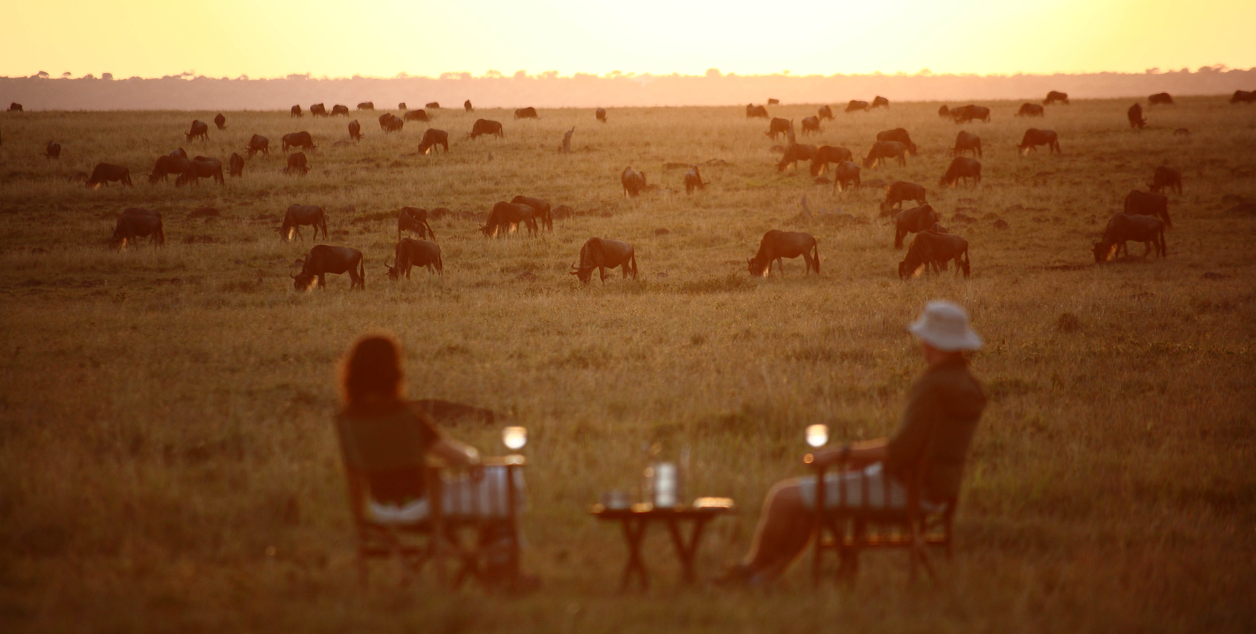 African Honeymoon Safari