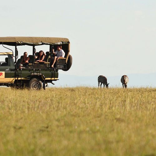 Family Moments On African Safari