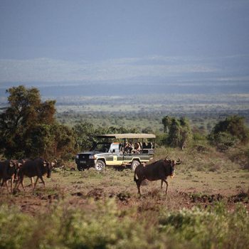 safaris nairobi