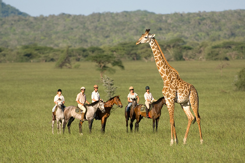 African Luxury Safari